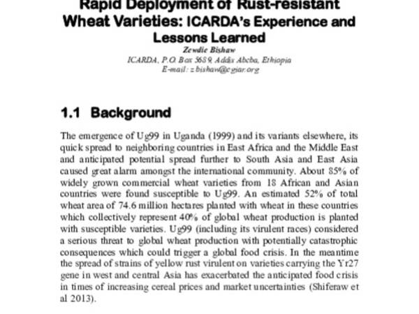 Rapid Deployment of Rust-resistant Wheat Varieties: ICARDA’s Experience and Lessons Learned