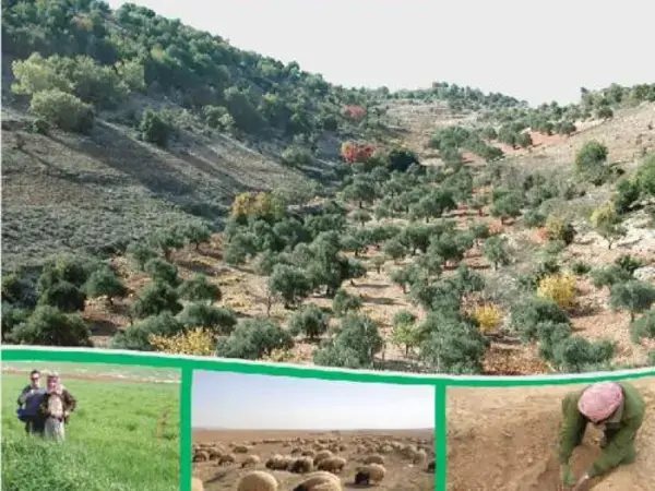 Ties that Bind: Jordan and ICARDA. 30 years of partnership for sustainable agriculture