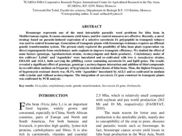 Agrobacterium-mediated transformation of cotyledonary node of Vicia faba L.