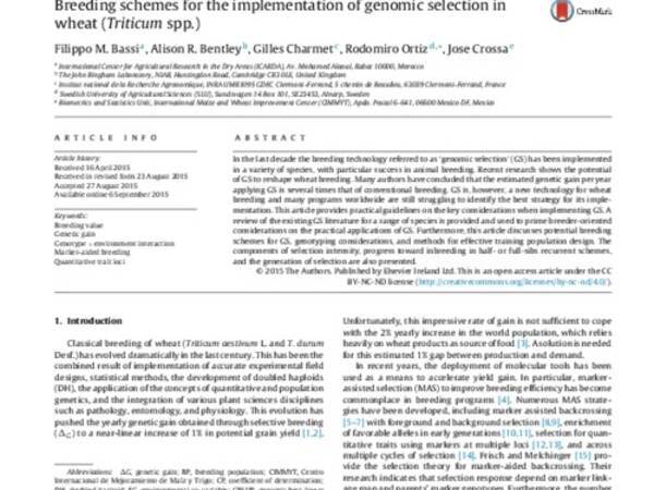 Breeding schemes for the implementation of genomic selection in wheat (Triticum spp.)