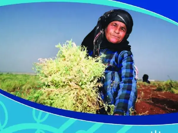 ICARDA Annual Report 2007