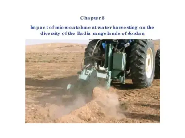 Impact of microcatchment water harvesting on the diversity of the Badia rangelands of Jordan