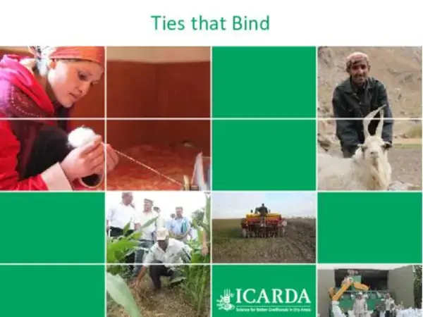 Ties that Bind: ICARDA in Central Asia and the Caucasus: A Partnership Dedicated to Sustainable Agriculture Development and Food Security