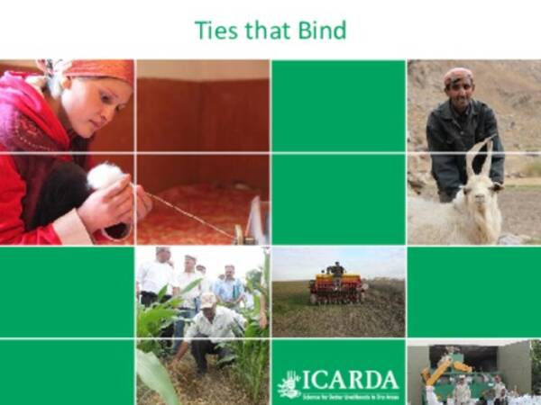 Ties that Bind: ICARDA in Central Asia and the Caucasus: A Partnership Dedicated to Sustainable Agriculture Development and Food Security