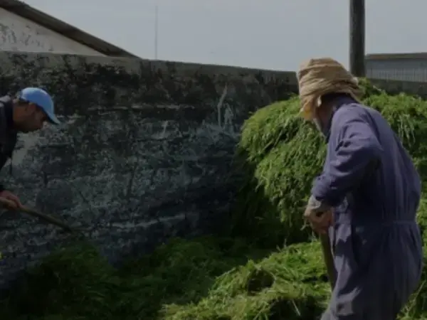 Enhancing Water and Land Productivity