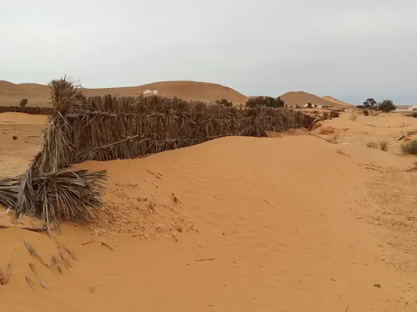 Shifting gender roles across Tunisia rangelands 