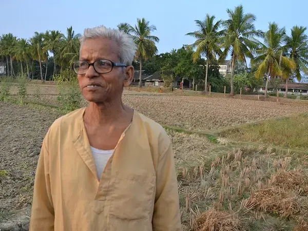 Farmers in India are cultivating land left fallow after rice harvests
