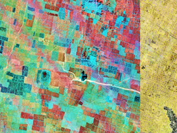 ICARDA has developed a geoinformatics-based decision support tool that targets sustainable pulse intensification in rice fallows