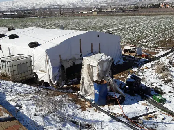 © Saja Taha Al Zubi (photos taken during filed visit 2016-2017)