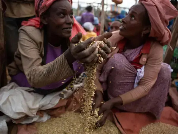 Photo by J. Turner/IRI.