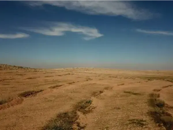Aerial imaging showing micro 9 water harvesting catchment treatment after planting
