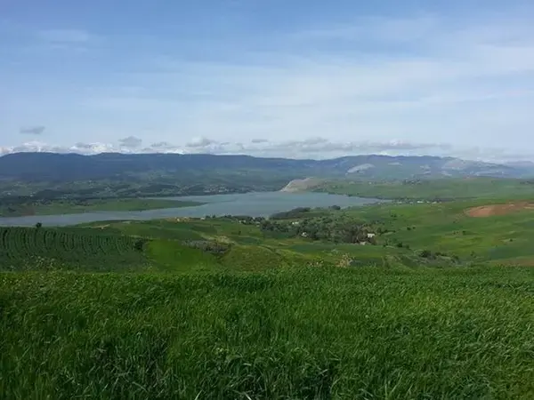 Crop rotation known as spatial and temporal alternation of crops with different root geometry and secretion of exudates is believed to break life cycle of soil born diseases and pests and largely influence the rizhosphere and the microorganisms