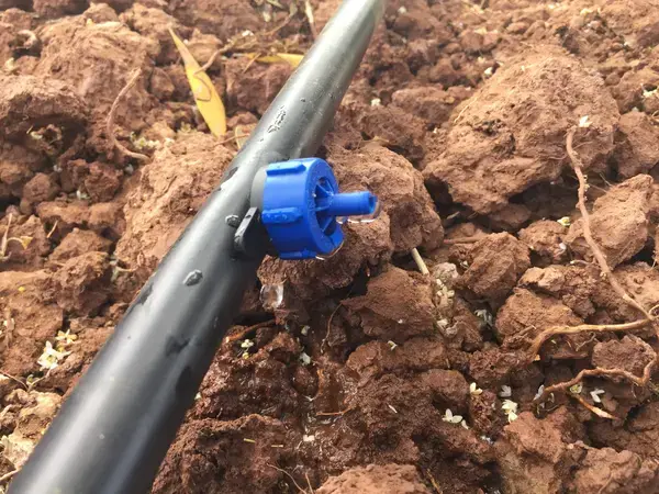Ultra-Low Energy Drip Irrigation: MIT emiter (photo credti ICARDA)