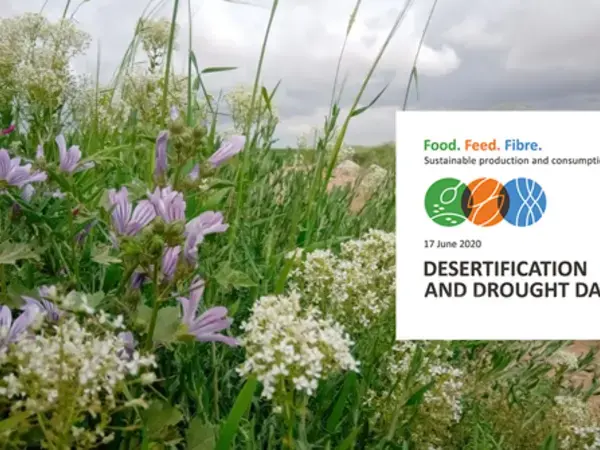 Desertification Day Header