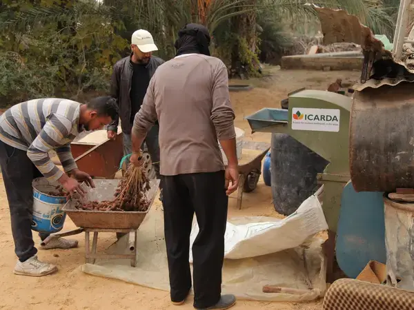 Photo by Zied Idoudi