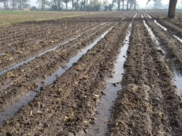 World Water Day 2021