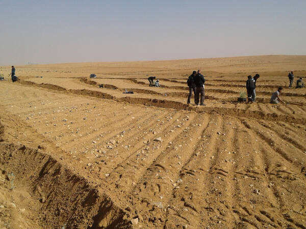 Recovering The Degraded Soils Of The Badia In Jordan
