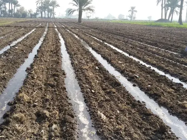 Enhancing Water and Land Productivity