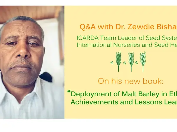Zewdie Bishaw, co-editor of ICARDA's new malt barley book
