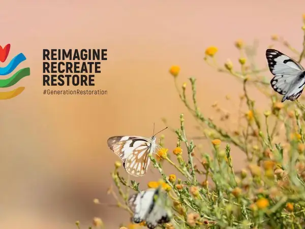 World Environment Day 2021