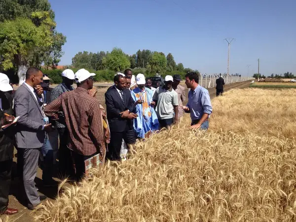 Miguel Sanchez-Garcia at a field day