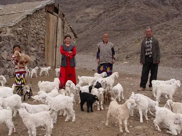 Central Asia and the Caucasus 