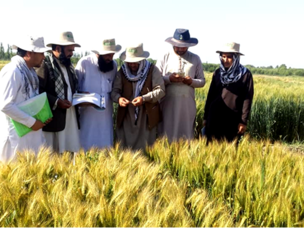 Field day in Afghanistan