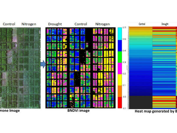 Remote sensing plays a crucial role in providing weather parameters for future accurate predictions and decisions.