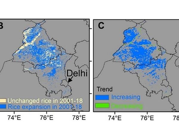 Remote sensing approaches to investigate the agricultural patterns used in the breadbasket of India 