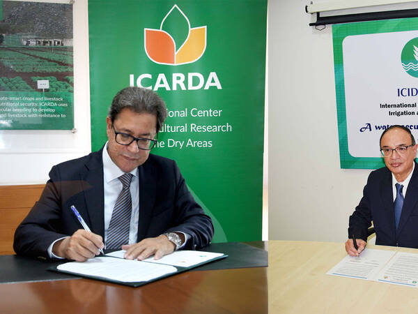 icarda-icid-sign.jpg