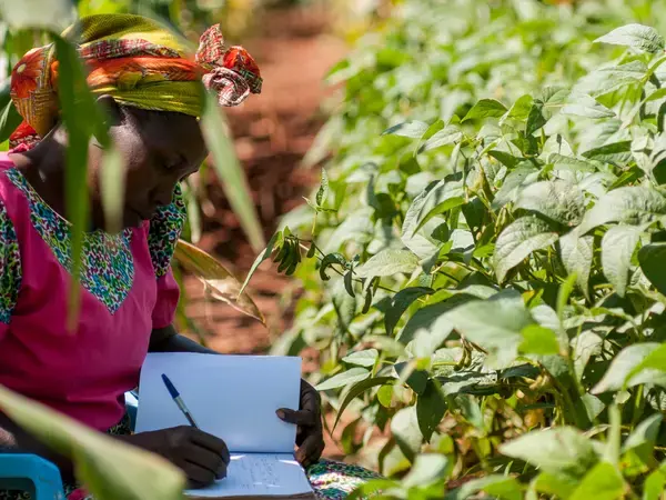 A researcher testing soil health in Kenya