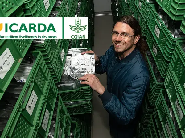 Dr. Athanasios Tsivelikas in the Morocco Genebank