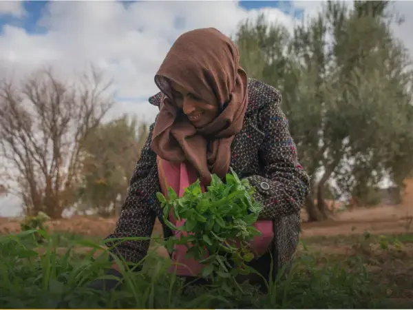 Climate report launch 