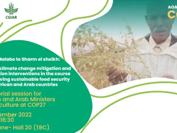 From Malabo to COP27