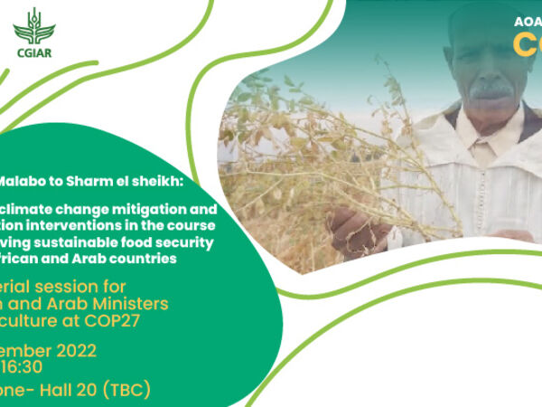 From Malabo to COP27