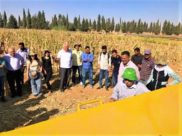 Capacity Development in Syria