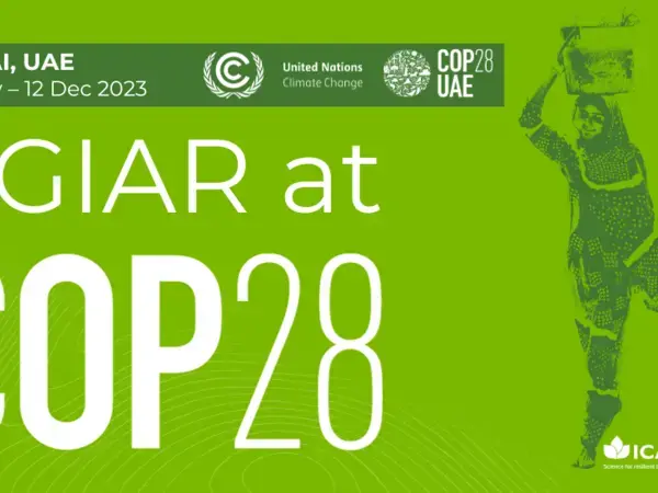 ICARDA AT COP28