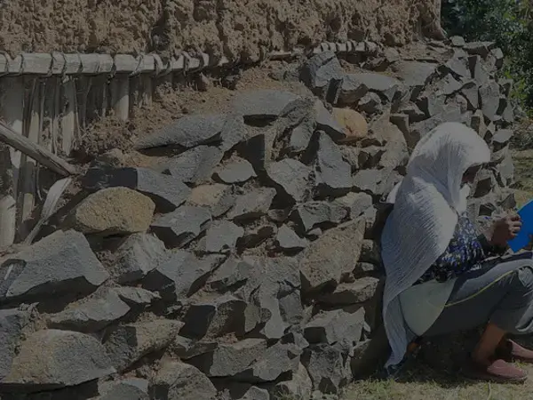 Promoting Climate-Resilient Agrifood Systems Governance with Gender Inclusivity: A Policy Brief