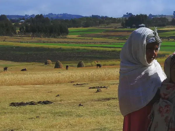 Strengthening women’s resilience and participation in climate governance in the agrifood sector through public policies