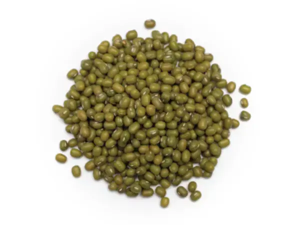 Seed Event Mungbean Uzbekistan