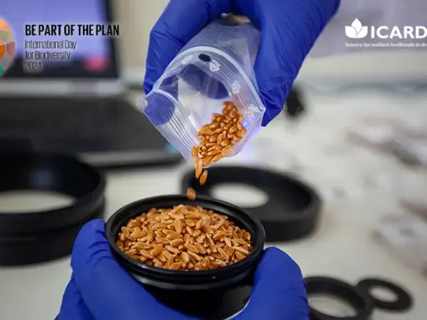 International Day of Biological Diversity 2024