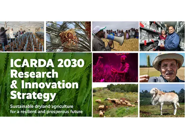 ICARDA 2030 Strategy