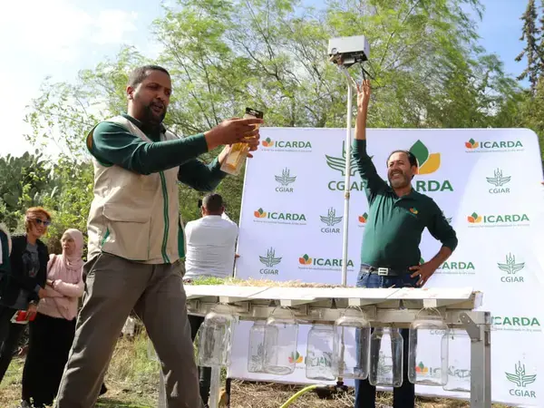 NATAE Field day at El Krib Living Lab in Tunisia Siliana district