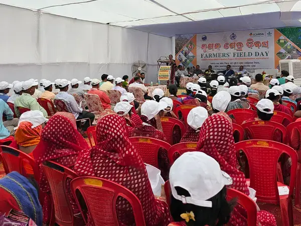 Farmers’ Field Day at Khadiapala, Keonjhar, Odisha, India    Photo credit: Ashis Kumar Jena, District Coordinator, IAP project 