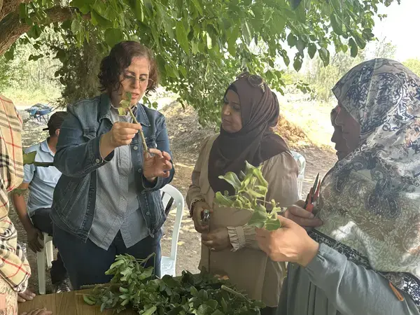 ICARDA’s Dr. Sawsan Hassan with two DGF colleagues participating in the training.