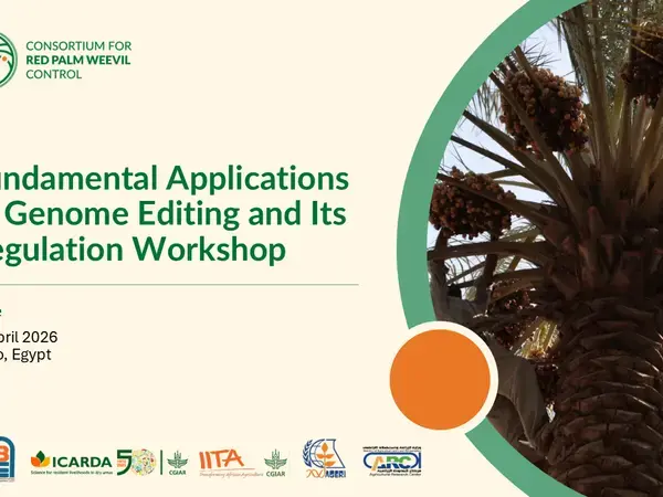 GEd Workshop E-Banner 