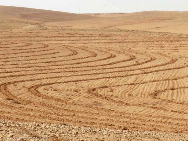 Water harvesting in Jordan using laser-guided Vallerani machines