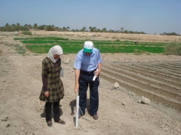 Increasing salinity is a growing problem in many countries that adversely impacts food production and farm profitability