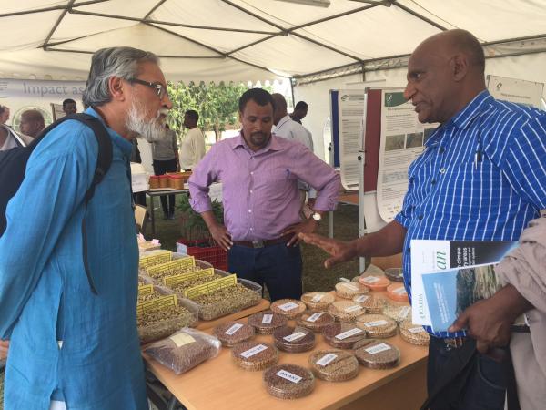 ICARDA showcased improved varieties of lentil, chickpea, malt barely and faba bean at the Science forum 2016