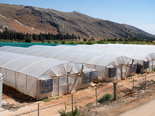 Plastic houses, ICARDA Terbol Station in Lebanon. Photo: Michael Major/Crop Trust